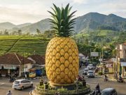 Mahkota Emas di Kaki Tangkuban Parahu: Hikayat Nanas Jalancagak