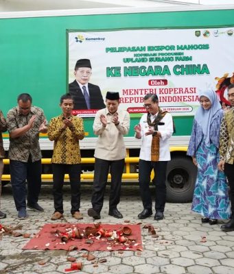 Tembus Pasar China, Ekspor Manggis Subang Capai Nilai Miliaran Rupiah ekspor manggis Subang