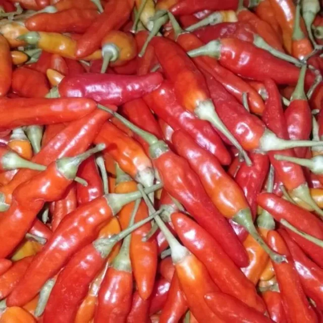 Harga Cabai di Pasar Baru Subang