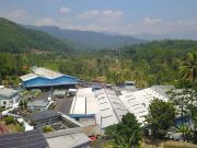 Program CSR Pendampingan Petani Subang: Dorong Swasembada Beras Organik Program CSR Pendampingan Petani Subang