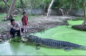 Blanakan: Jejak Pesisir Subang, Antara Legenda Buaya dan Nafas Nelayan