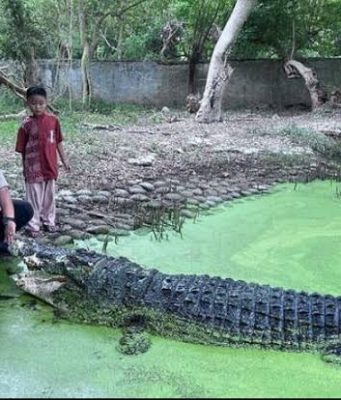 Blanakan: Jejak Pesisir Subang, Antara Legenda Buaya dan Nafas Nelayan