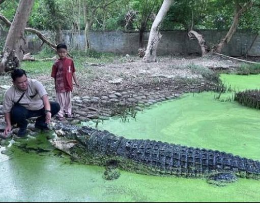 Blanakan: Jejak Pesisir Subang, Antara Legenda Buaya dan Nafas Nelayan