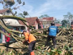 Angin Puting Beliung Jalancagak Rusak Ratusan Rumah di Subang Angin Puting Beliung Jalancagak