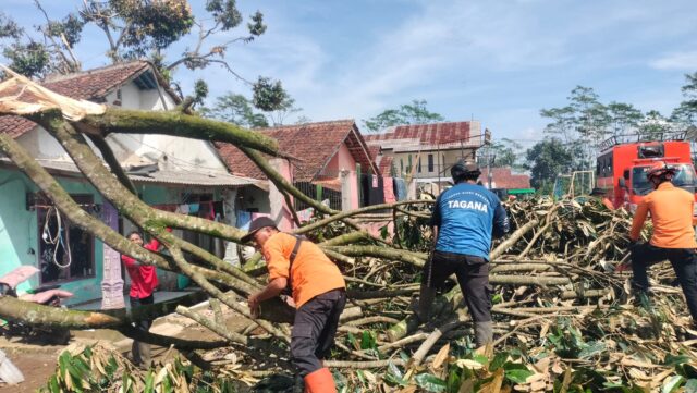 1000498508 Angin Puting Beliung Jalancagak