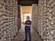 Stok Beras Subang Melimpah, Bulog Siap Operasi Pasar Minyakita Stok beras Subang