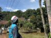 PLN Subang Intensifkan Penertiban Listrik Ilegal demi Keamanan penertiban listrik ilegal Subang