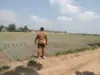 Petani Ciasem Percepat Tanam Padi Hadapi El Nino Percepatan tanam padi