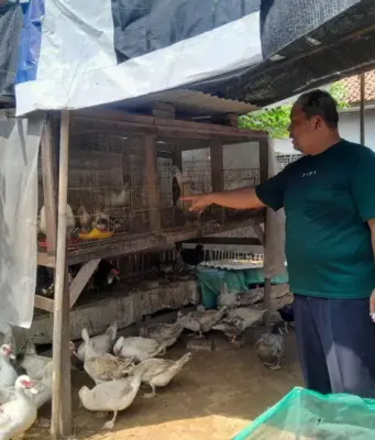 BUMDes Jatayu Kelola Dana Desa Kotasari Dana Desa Kotasari