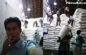 Update Harga Pupuk dan Benih Padi di Subang Harga Pupuk dan Benih Subang