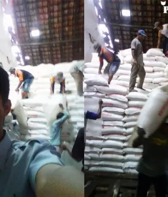 Update Harga Pupuk dan Benih Padi di Subang Harga Pupuk dan Benih Subang