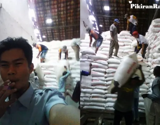 Update Harga Pupuk dan Benih Padi di Subang Harga Pupuk dan Benih Subang
