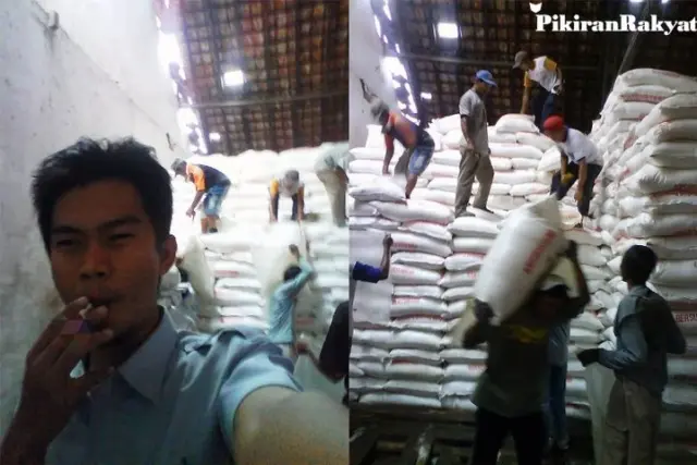 Harga Pupuk dan Benih Subang