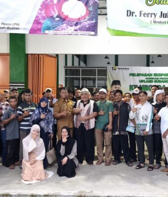 Ateng Sutisna Dorong Hilirisasi Industri Nanas Subang Industri Nanas Subang