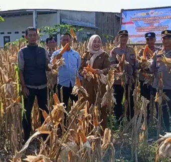 Polsek Binong Panen Jagung Dukung Ketahanan Pangan Ketahanan Pangan Polsek Binong