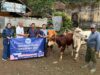 AQUA Subang Salurkan 1.200 Paket Daging Kurban AQUA Subang kurban