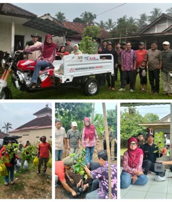 Smart Farming Anggur UPI: Solusi Teknologi di Subang Smart Farming Anggur Subang