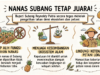 Bupati Subang Tolak Alih Fungsi Lahan Nanas Selatan penolakan alih fungsi lahan nanas