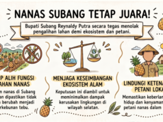 Bupati Subang Tolak Alih Fungsi Lahan Nanas Selatan penolakan alih fungsi lahan nanas