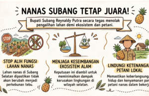 Bupati Subang Tolak Alih Fungsi Lahan Nanas Selatan penolakan alih fungsi lahan nanas