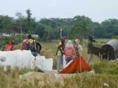 Bulog Subang Pastikan Stok Beras Aman Sepanjang 2026 stok beras Bulog Subang