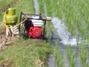 Efisiensi Biaya Tani Subang: Hemat Rp4 Juta dengan Gas LPG 3 Kg Efisiensi Biaya Tani Subang