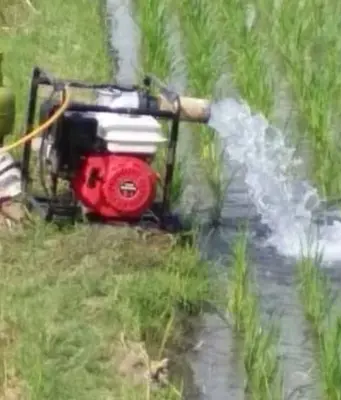 Efisiensi Biaya Tani Subang: Hemat Rp4 Juta dengan Gas LPG 3 Kg Efisiensi Biaya Tani Subang