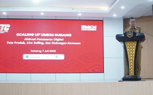 Strategi UMKM Subang Naik Kelas