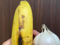 Harga Buah di Subang Stabil, Pisang dan Jeruk Pasar Baru Aman Terkendali harga buah di Subang