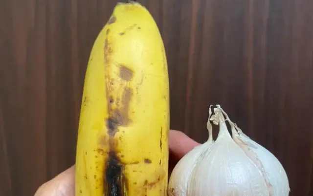 harga buah di Subang