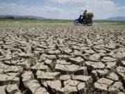Kekeringan di Kabupaten Subang Meluas, Pemerintah Pasang Strategi Cepat kekeringan di Kabupaten Subang