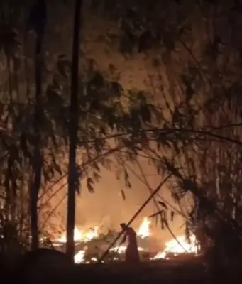 Kebakaran Kebun Bambu di Pagaden Barat: Damkar Subang Sigap Bertindak Kebakaran kebun bambu di Pagaden Barat