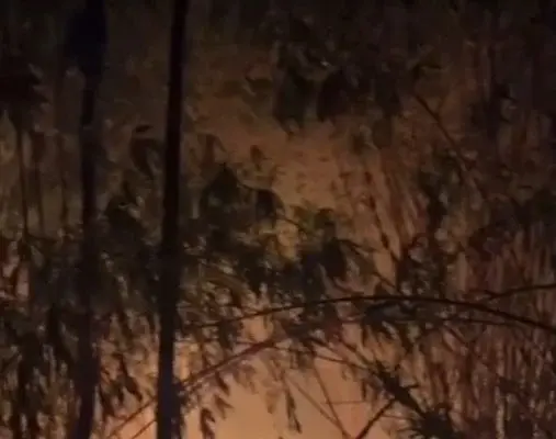 Kebakaran Kebun Bambu di Pagaden Barat: Damkar Subang Sigap Bertindak Kebakaran kebun bambu di Pagaden Barat