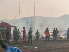Penanganan Cepat Babinsa Pusakajaya Padamkan Kebakaran Lahan di Subang kebakaran lahan di Subang