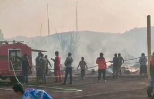 Penanganan Cepat Babinsa Pusakajaya Padamkan Kebakaran Lahan di Subang kebakaran lahan di Subang