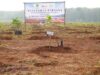 Revitalisasi Kebun Karet Jalupang: Langkah Taktis Pemprov Jabar Pulihkan Fungsi Lahan revitalisasi Kebun Karet Jalupang