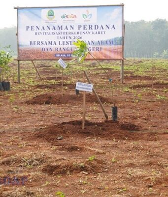 Revitalisasi Kebun Karet Jalupang: Langkah Taktis Pemprov Jabar Pulihkan Fungsi Lahan revitalisasi Kebun Karet Jalupang
