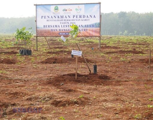 Revitalisasi Kebun Karet Jalupang: Langkah Taktis Pemprov Jabar Pulihkan Fungsi Lahan revitalisasi Kebun Karet Jalupang