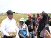 Kunjungan Mentan: Pusat Benih Padi di Subang Menjadi Penopang Swasembada Pangan Nasional pusat benih padi di Subang