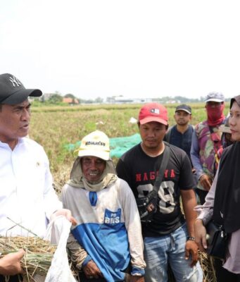 Kunjungan Mentan: Pusat Benih Padi di Subang Menjadi Penopang Swasembada Pangan Nasional pusat benih padi di Subang