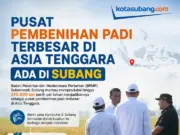 Kunjungan Kerja Mentan: Pusat Benih Padi di Subang Ciptakan Rekor Produksi Asia Tenggara pusat benih padi di Subang
