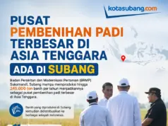 Kunjungan Kerja Mentan: Pusat Benih Padi di Subang Ciptakan Rekor Produksi Asia Tenggara pusat benih padi di Subang