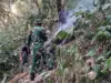 Anggota Kodim 0605/Subang Turun Tangan Padamkan Karhutla di Gunung Kujang Cijambe Kebakaran hutan Gunung Kujang Cijambe