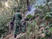 Anggota Kodim 0605/Subang Turun Tangan Padamkan Karhutla di Gunung Kujang Cijambe Kebakaran hutan Gunung Kujang Cijambe