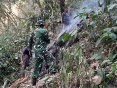 Anggota Kodim 0605/Subang Turun Tangan Padamkan Karhutla di Gunung Kujang Cijambe Kebakaran hutan Gunung Kujang Cijambe