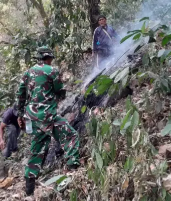 Anggota Kodim 0605/Subang Turun Tangan Padamkan Karhutla di Gunung Kujang Cijambe Kebakaran hutan Gunung Kujang Cijambe