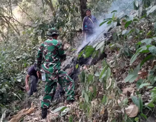 Anggota Kodim 0605/Subang Turun Tangan Padamkan Karhutla di Gunung Kujang Cijambe Kebakaran hutan Gunung Kujang Cijambe