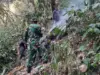 Kebakaran Hutan Gunung Kujang Landa Cijambe Subang Kebakaran Hutan Gunung Kujang Cijambe