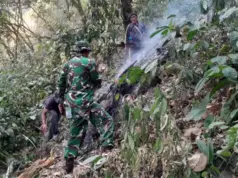 Kebakaran Hutan Gunung Kujang Landa Cijambe Subang Kebakaran Hutan Gunung Kujang Cijambe