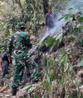 Kebakaran Hutan Gunung Kujang Landa Cijambe Subang Kebakaran Hutan Gunung Kujang Cijambe
